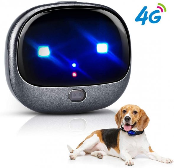 Pet GPS Tracker, Real-time Tracking Dog with GPS with App